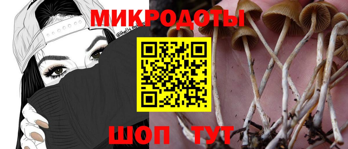 Псилоцибиновые грибы мицелий  купить закладку  Нововоронеж  Псилоцибиновые грибы Cubensis  Вход с VPN 